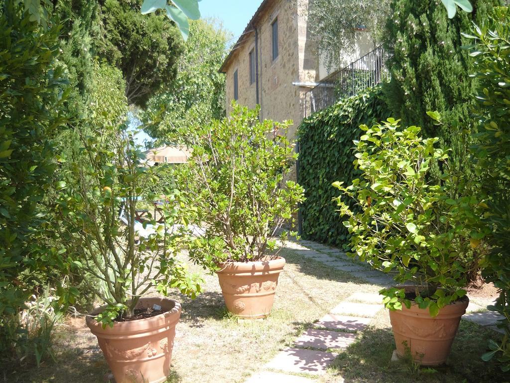 Podere Oliveta Поджибонси Номер фото