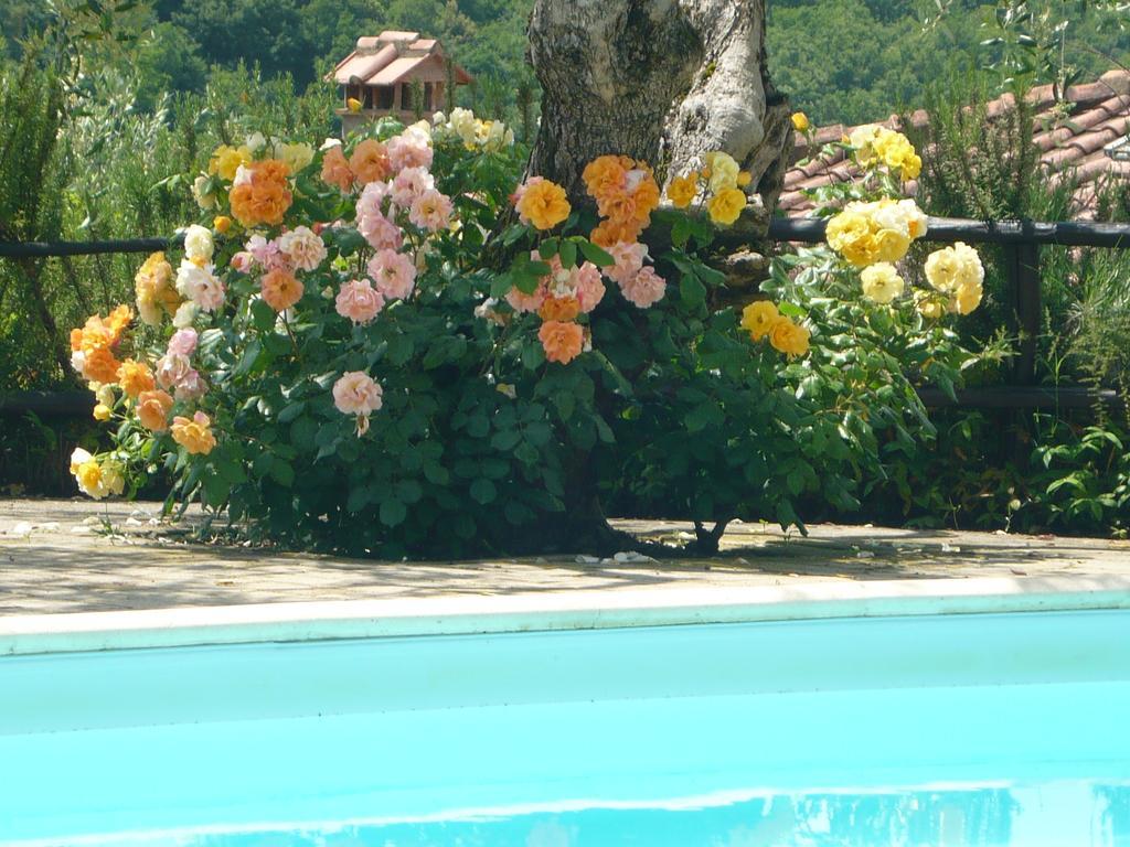 Podere Oliveta Поджибонси Экстерьер фото
