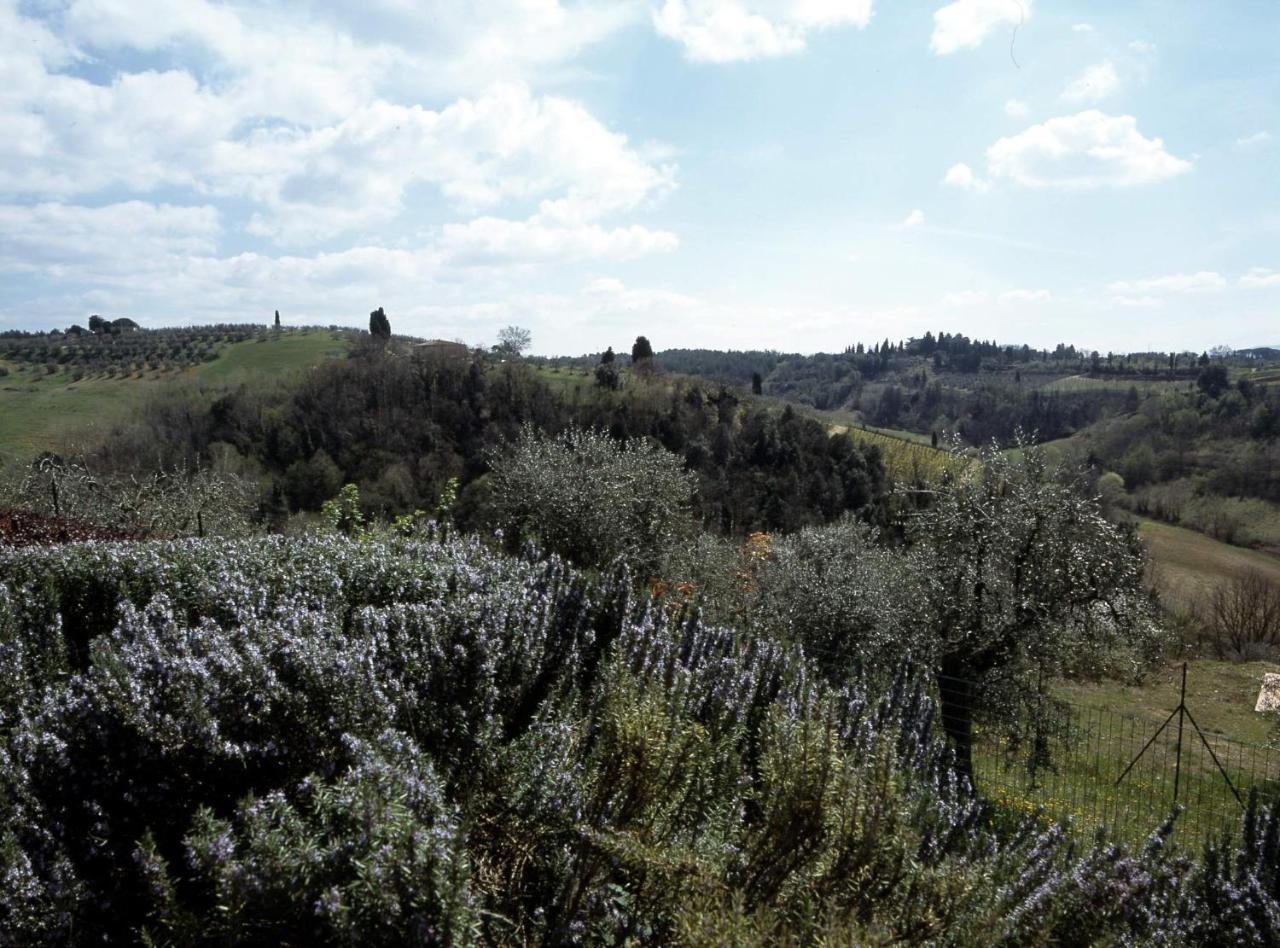 Podere Oliveta Поджибонси Экстерьер фото